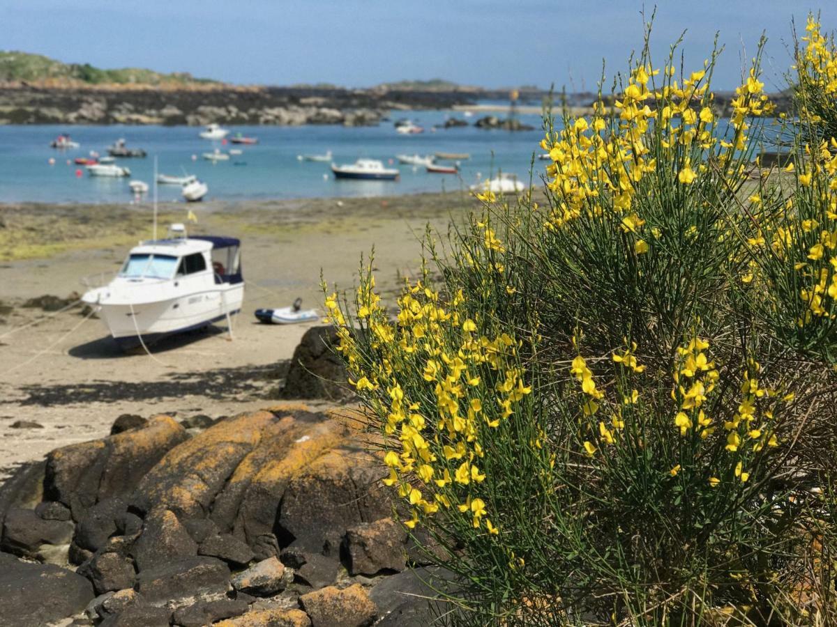 Le Cottage De La Baie Carolles Dış mekan fotoğraf